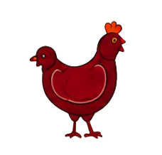 ไก่คุณภาพพรีเมียม